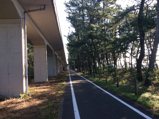高知安芸自転車道路