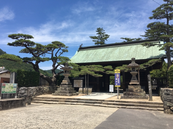 国分寺の立派な松がお出迎え。