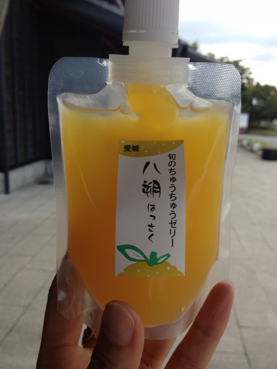 道の駅で買ったはっさくゼリーは冷たくて甘酸っぱい。