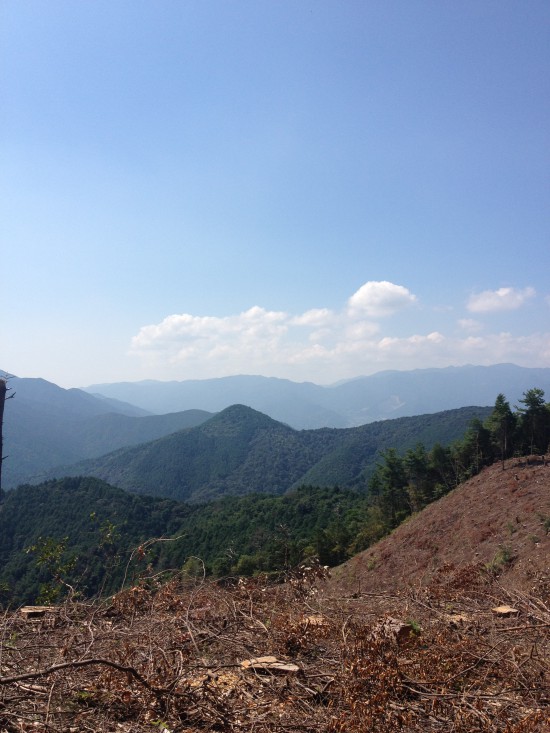 横峰の下り山中、景色の良いところが数か所あった。