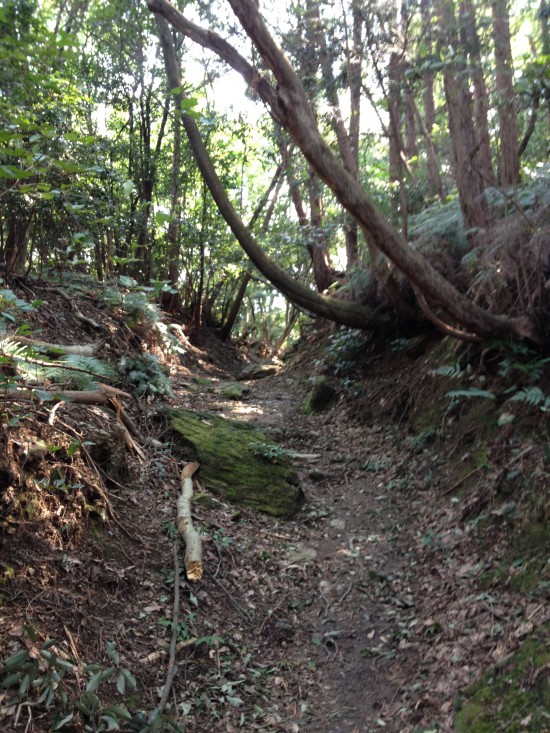 三角寺への遍路道はこんな感じ。