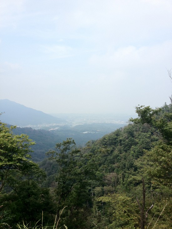 木々の間から時折見える絶景