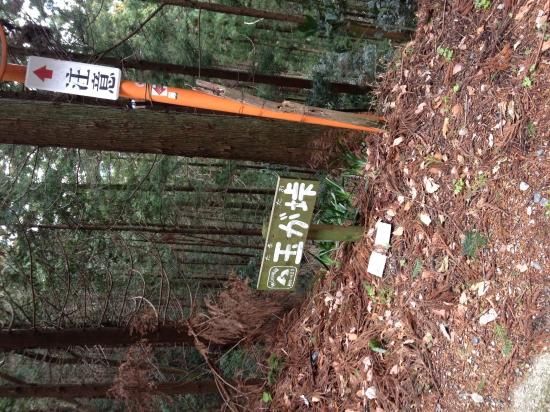 玉ケ峠、焼山寺越えの後はかなり厳しい。