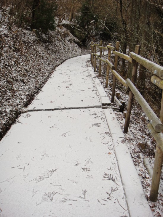 駐車場からの道　うっすらと雪が…寒かったです