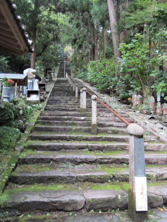 普段、運動しない。私には、よい運動です。