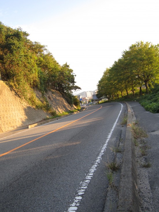 遍路道、間違えて、三津浜周りで、友人宅へ、わざわざ遠回りして、大山寺の坂を上りました。本日、最大の難所。自転車降りずに、登りきりました。自転車降りるともう乗ってこぐ自身がなかった(^^;
