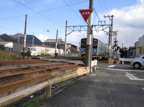 電車を撮ろうと待ちましたが失敗。。