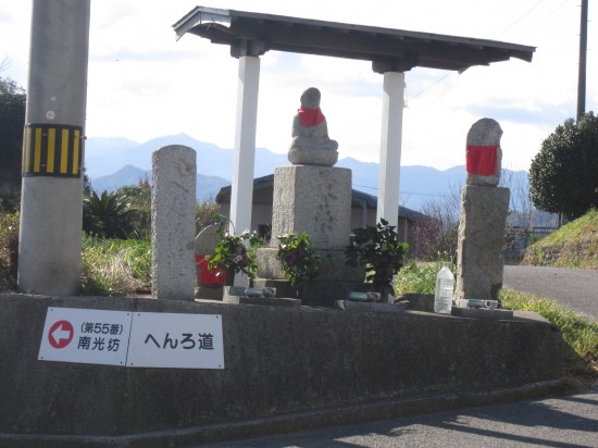 さっそくココに来る前の坂で、自転車のぼりきれず、1回こけました(^^；