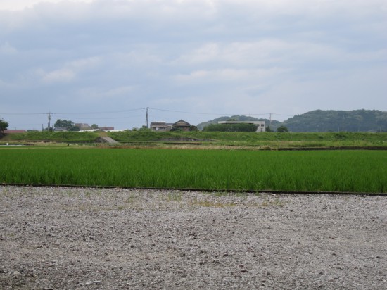 国分寺の駐車場付近より。田園