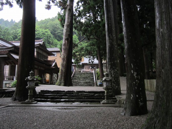 昨日、良いことしたかいがあったのか、雨があがった！