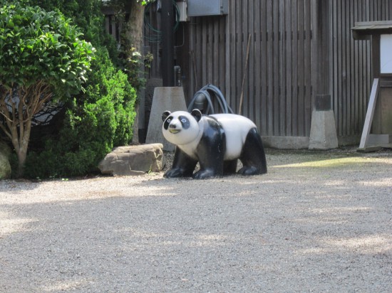 あっ今朝ニュースで見た！？