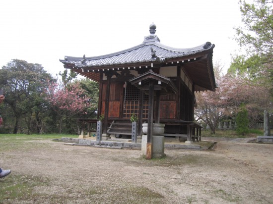 到着！桜もだいぶ散ってました。残念。