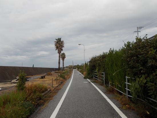 自転車道が遍路道になっている南国情緒が漂う。天候は良くなかったが気持ちよく歩くことができた。