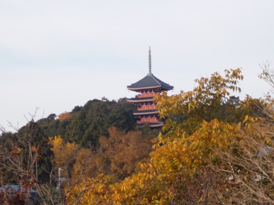 牧野植物園から望む竹林寺の五重塔。しかし、出口が見当たらない。危うく、反対方向に下るところであった。