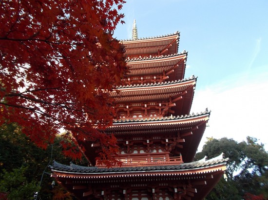 古くは三重塔があったが、台風で倒壊し、昭和５５年に五重塔として再建したものである。紅葉のの赤と塔の赤が合い美しい。