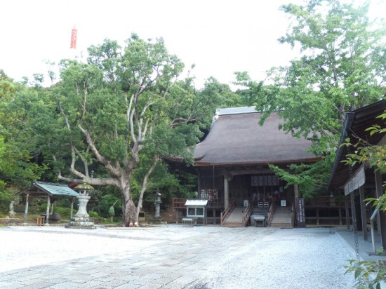 早朝のお寺の雰囲気は、格別で良いです。