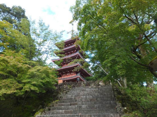 私は、緑と赤のこの景色の方が好きです。 みなさんは？