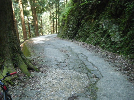 え、え、えええっ、何だこの急斜っ。 道も悪路で制御できましぇん。