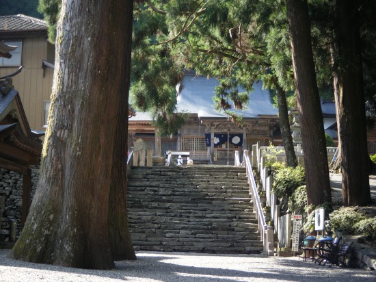 いつ来ても、木の大きさに感動！ ・・・・すみません、木と苔が見事なら、それで良いんです。