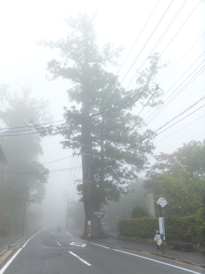 朝一番、やはりここは山の中なんですね。　朝靄が冷んやりと気持ち良い。