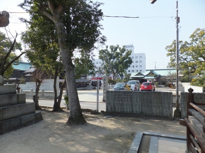 大師堂から左を見ると、そこに大山祇神社です。