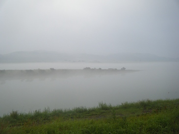霧の四万十川・・・・・靄(もや)かな？ 通り雨の後も、しばらく川面はこんな状態でした。