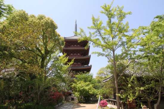 志度寺の五重塔