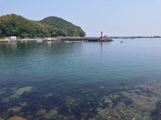 木岐町の漁港。素敵な雰囲気です！！