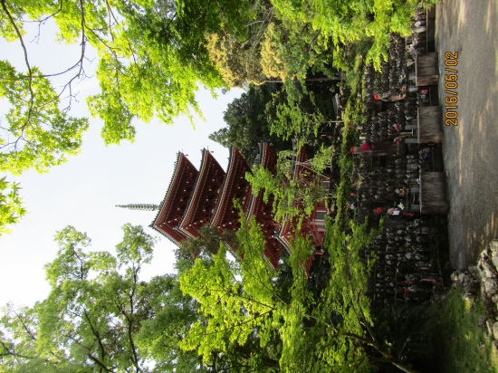 竹林寺五重の塔、緑も多く綺麗でした。