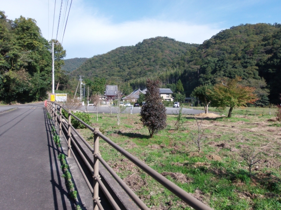 大日寺が見えてきました。