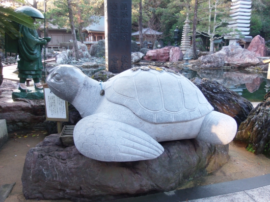 金剛福寺にも亀さんがいました。