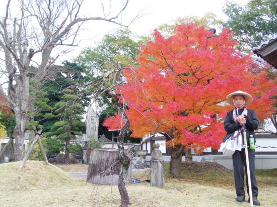 観自在寺境内の紅葉は綺麗でした。