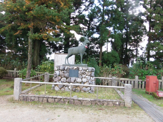 出石寺境内にあるお手引きんの鹿像