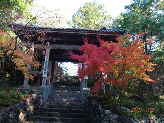 大日寺「山門」紅葉が綺麗でした。