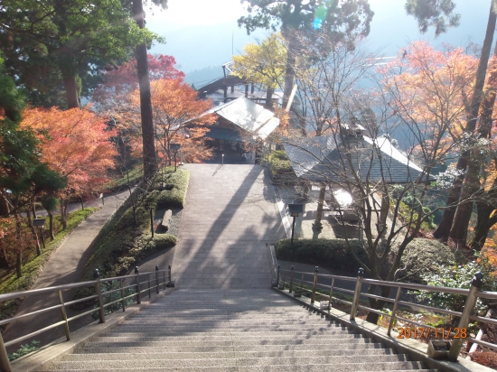 下方の建物は太龍寺ロープウエー山上駅。