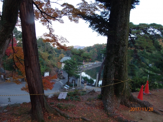 境内から参道脇の池を見ました。