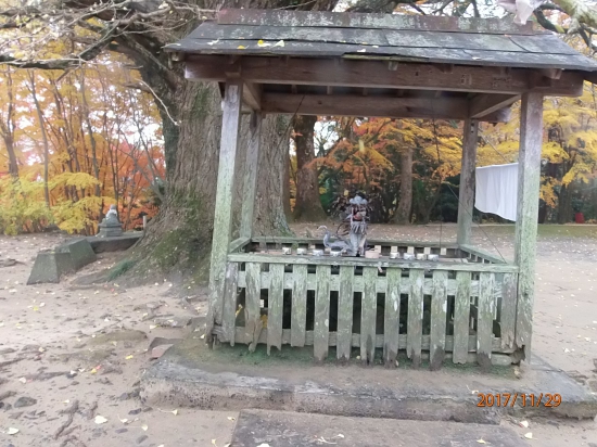 大山寺手水場。