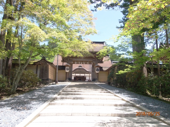 金剛峰寺参道。