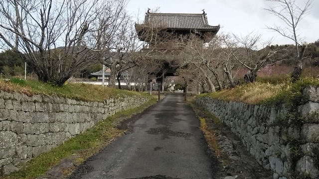 8番札所「熊谷寺」山門。