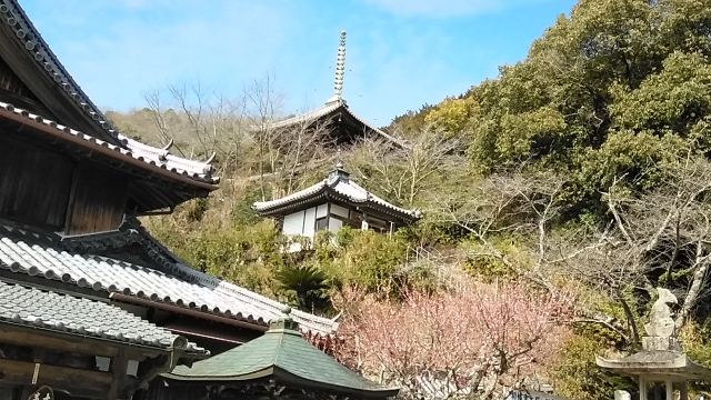 切畑寺「大塔」。