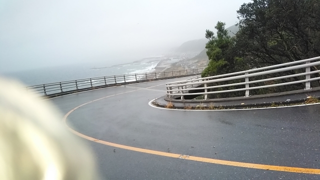 室戸スカイラインから見た室戸市方面の海。