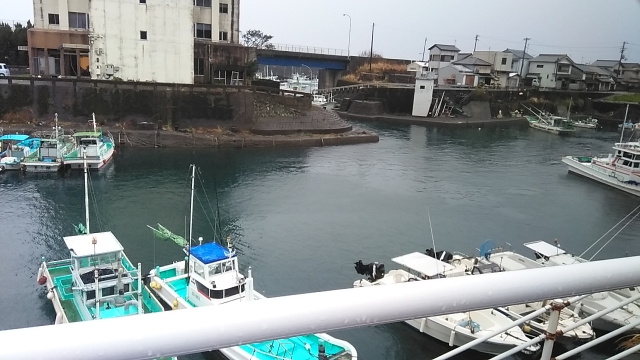 漁港の中は波立たず。