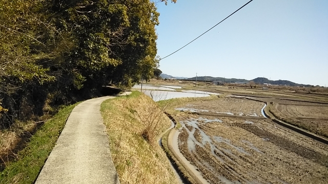 遍路道沿いの田んぼには水が張ってありました。