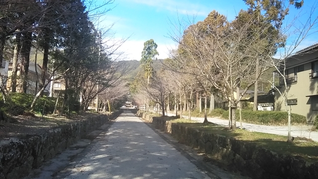 遠くに善楽寺の山門が見えます。