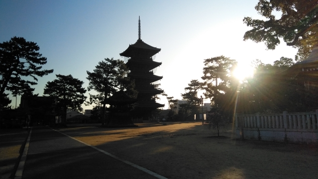 朝日に照らされる善通寺5重の棟。