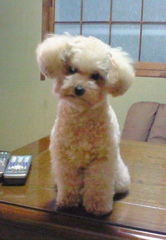 akiraのアバター