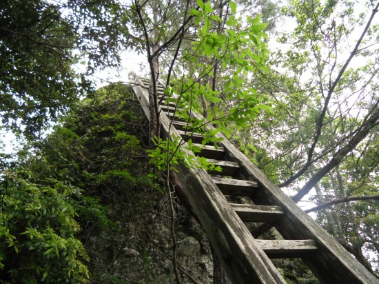 頂上の祠へ行く梯子です。下は、断崖絶壁で、落ちたら死ぬな！と思いました。