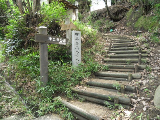 浄土寺の裏山で１５分ほどの山登りです。