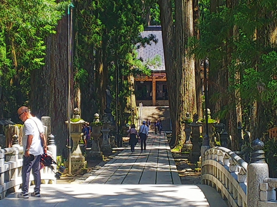 高野山奥の院を望む