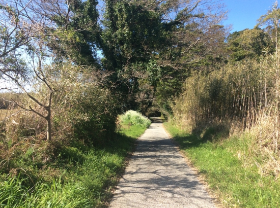 不動岩への遍路道